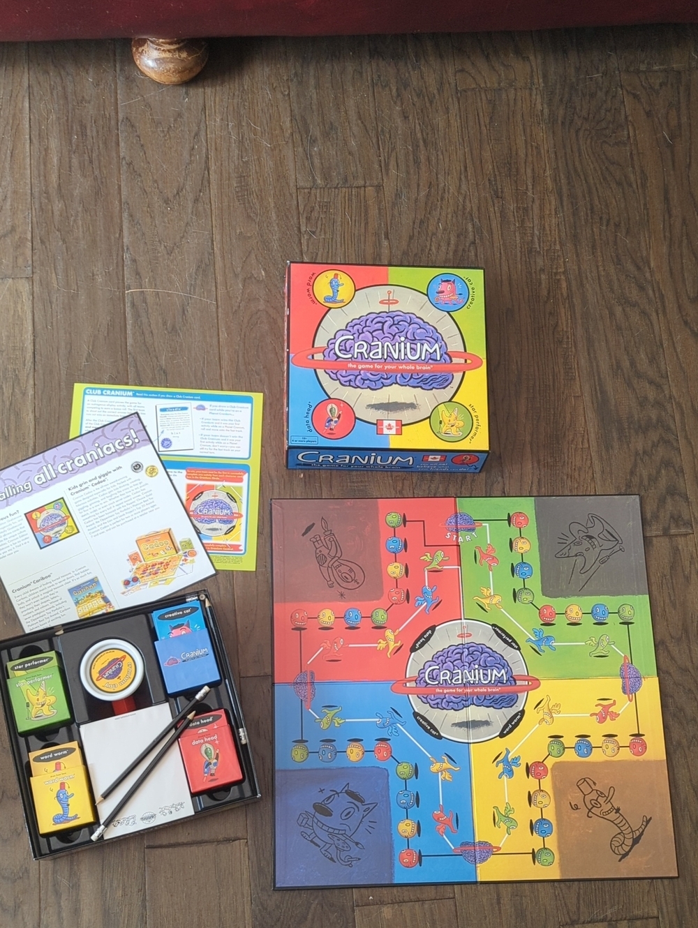 Cranium - Picture 3 of 6